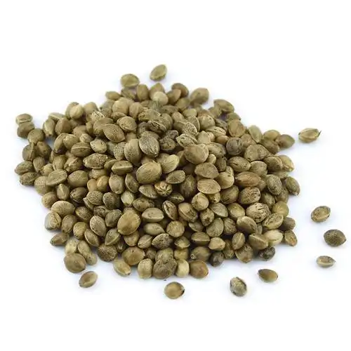 亿凡星 火麻仁 安徽麻子仁大麻子大麻仁白麻子 500克 自然晒干