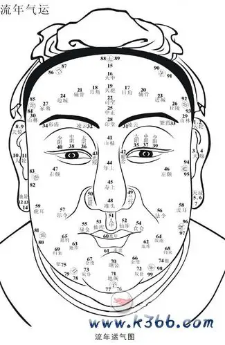 面相流年气运图-面相大全