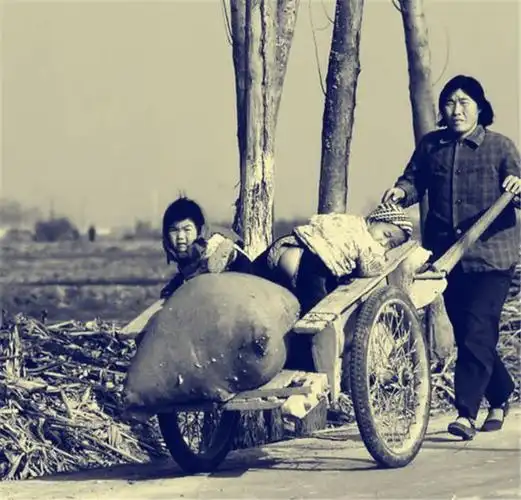 90年代中国农村的老照片图四是位推着板车的母亲图五是木匠