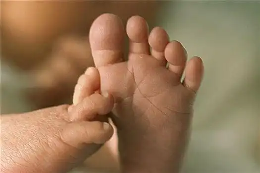 脚掌图片_脚掌图片大全_脚掌背景图片