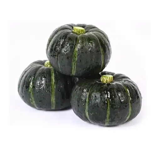 大黑贝贝黑皮南瓜种子高产早熟甜面南瓜籽小南瓜种籽四季大田播种 5包