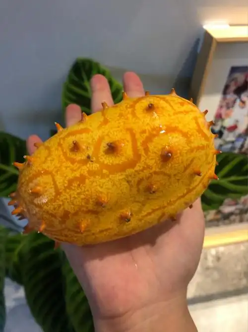 超级难吃的两种水果