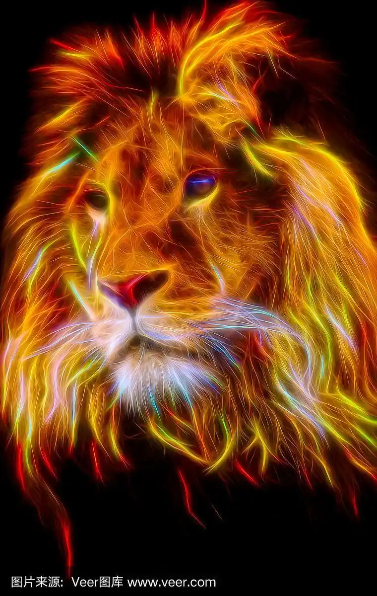 肖像,雄性动物,狮子,火焰,色彩鲜艳