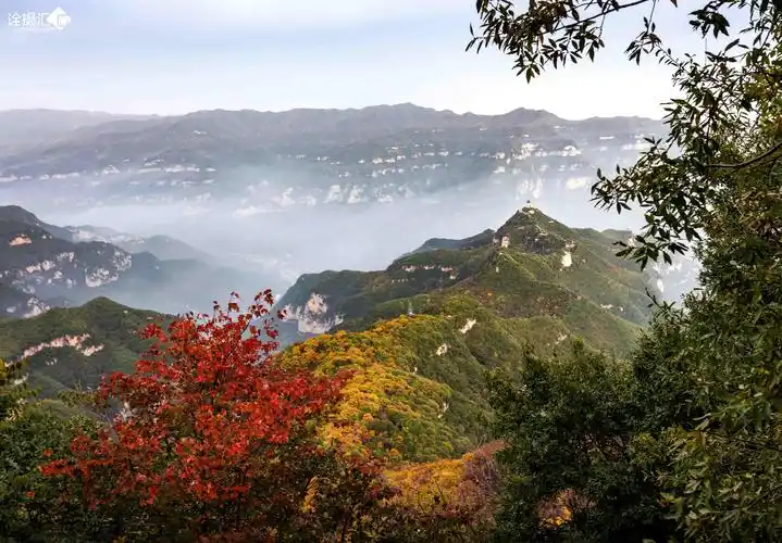 层林尽染云秋山