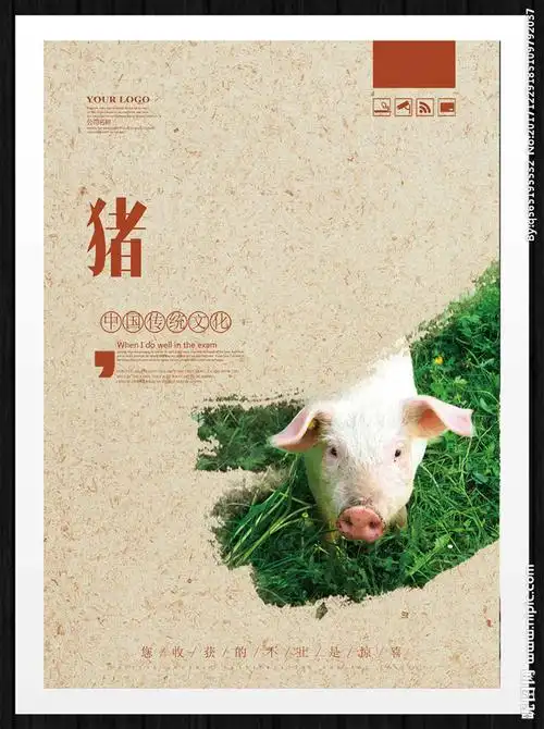 猪猪肉黑土猪黑猪土猪生猪养殖养猪场香猪猪饲料宠物