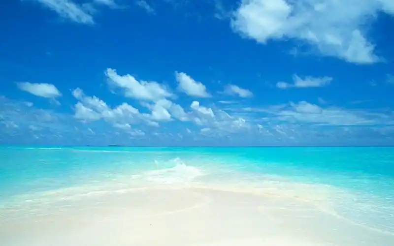 给自己的桌面换上清新护眼的壁纸吧,希望大家喜欢.随心一句