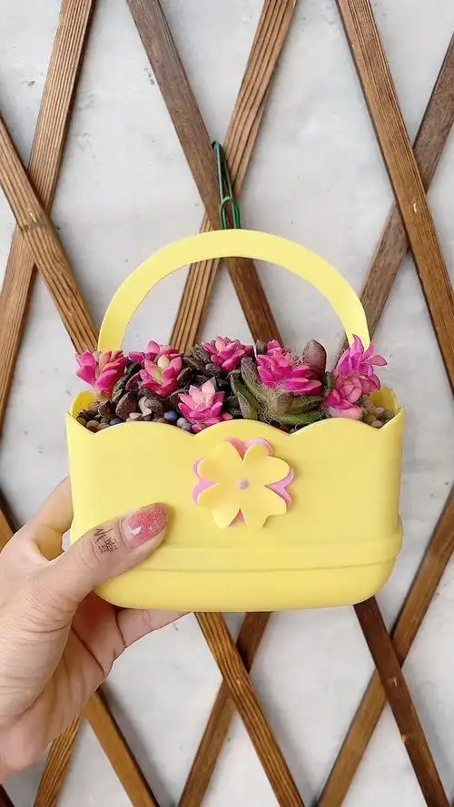 家里用完的洗洁精瓶子不要扔做款简单又好看的花盆吧适合初学者喔