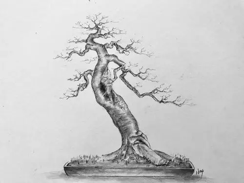 手绘盆景设计图