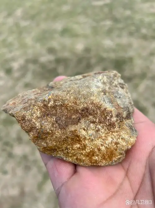 各位大神这是金矿原石吗?