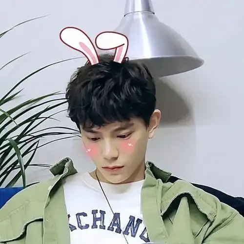 求丁禹兮的壁纸呀