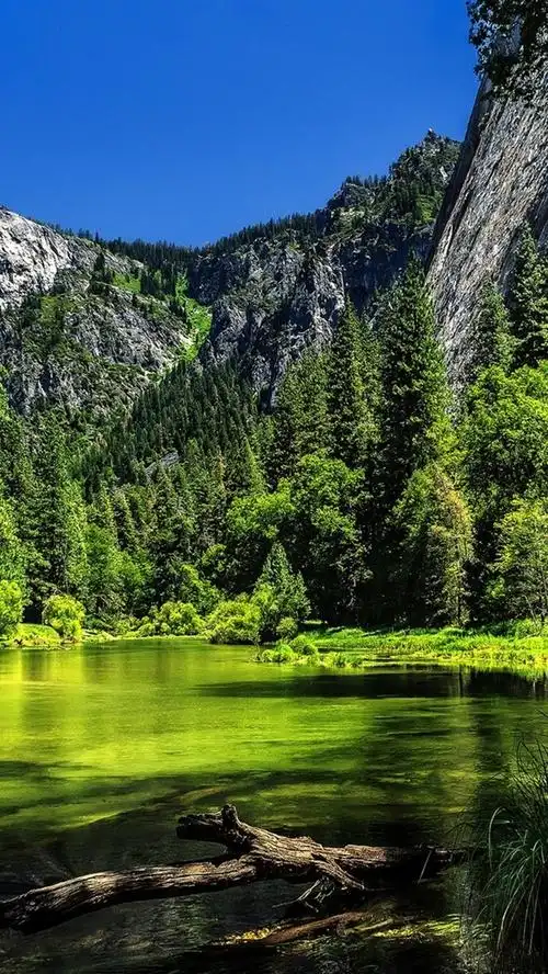 优胜美地国家公园,美国加利福尼亚州,湖,绿色的树木,山 640x1136 ipho