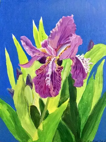 阳光下的鸢尾花_布面丙烯_油画_宝甄网