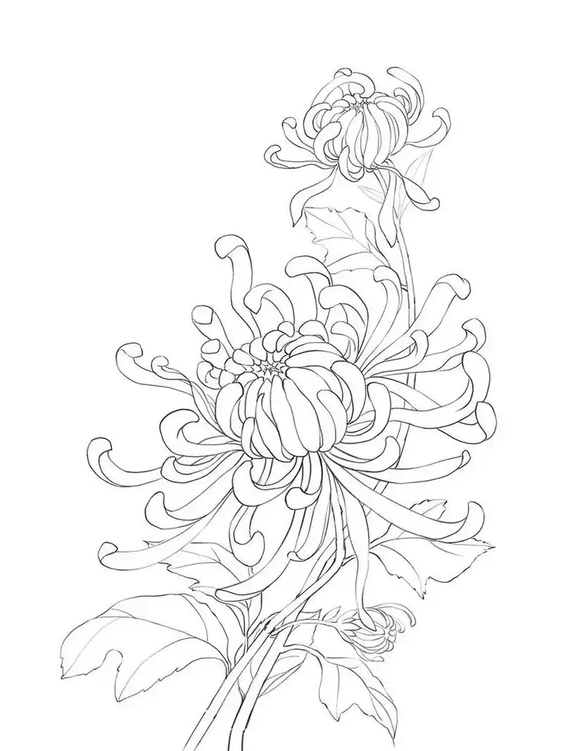 古风线描花卉九宫格 最近的原创线描花卉终于完成9张啦分别是月季