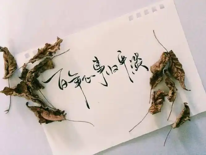 婚后生活那么平淡你为什么还要结婚