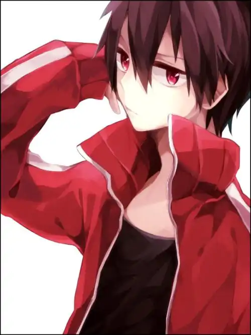 这是什么动漫男主角啊.