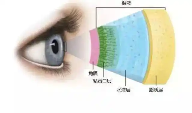 眼管家干眼症的症状看看你有多严重