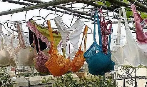 狂偷2409个胸罩,男子被抓后语出惊人 - 知乎