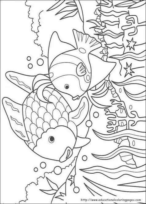 中班幼儿画简笔画视频