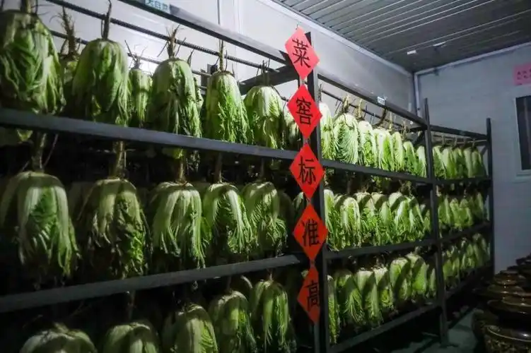 一键下单专车配送高原部队副食品保障呈现新变化