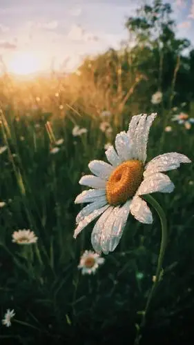 微信里积极向上的励志句子,青春阳光,让人充满动力!