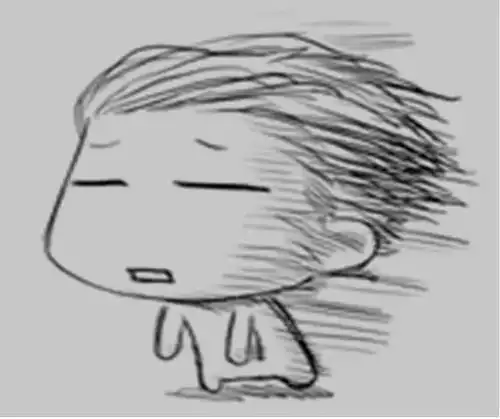 风中凌乱表情包搞笑