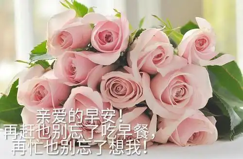 最新带字早安唯美图片!