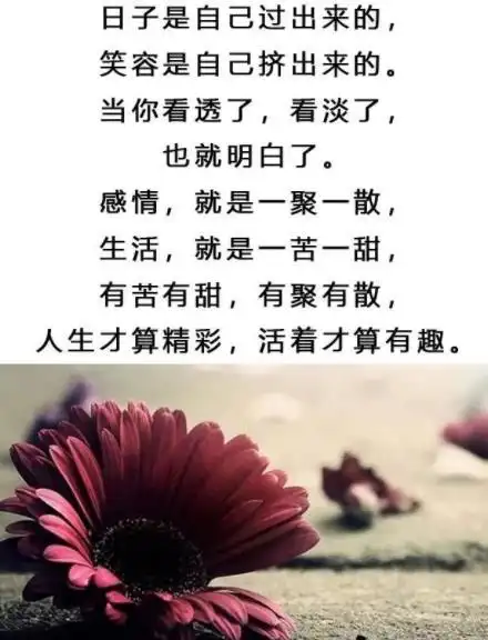 看淡看开无所谓图片,一切看淡一切随缘的图片-528时尚网