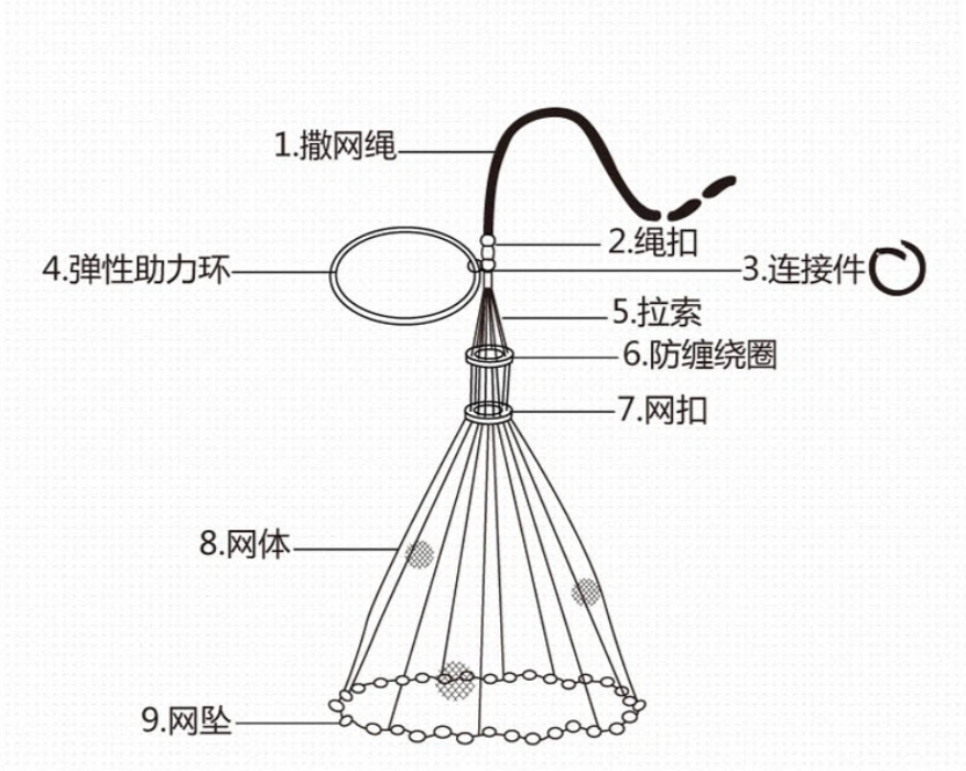日本捕鱼船,在1977年捞起"海怪"尸体,是全球最后的蛇颈龙吗?
