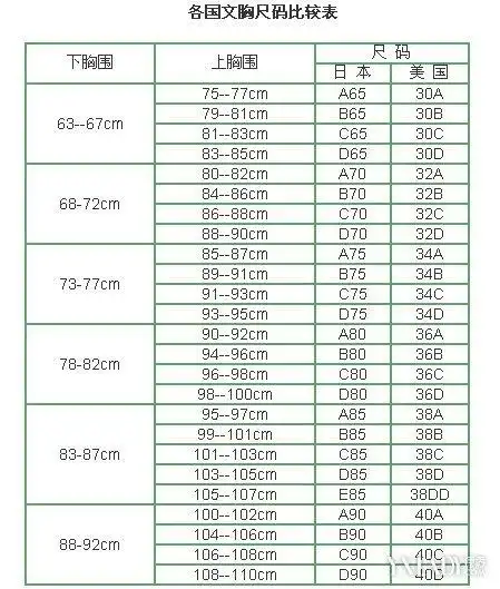 胸部尺寸对照表展示教你乳房罩杯的计算方法