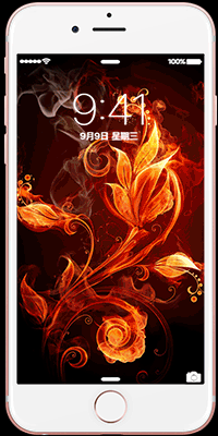 sun fire 唯美 烈焰 燃烧 burning 动态 壁纸 锁屏 livephotos gif 动