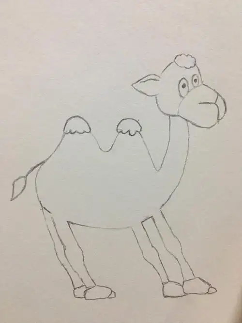 怎样画骆驼简笔画(简笔画骆驼的画法)(11)