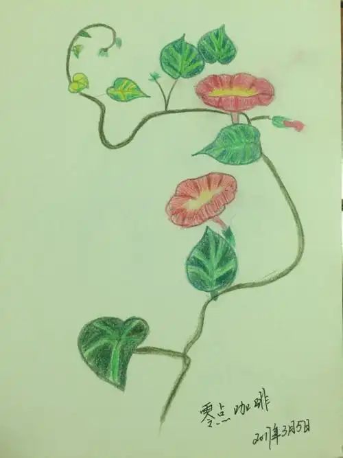 n最喜欢的牵牛花