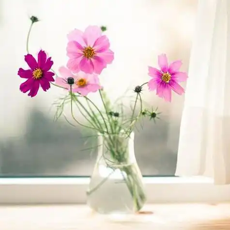 窗台清新插花头像