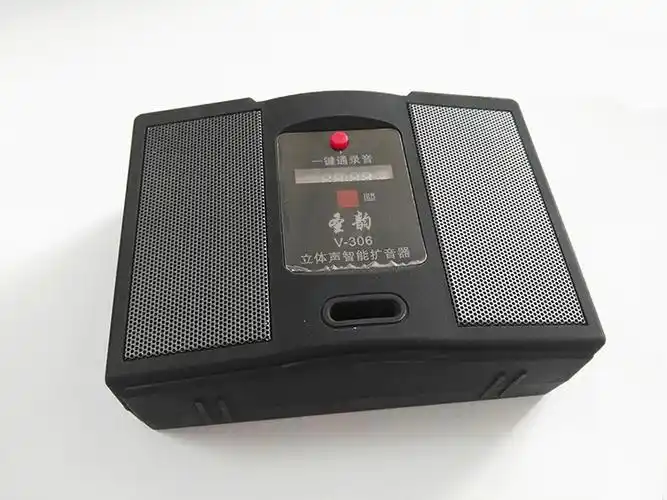 2022新款二胡放大音响圣韵v30624g无线蓝牙扩音器二胡葫芦丝古筝笛箫