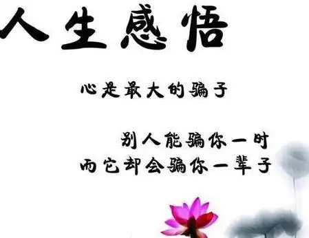 关于人生感悟的句子生活篇生活感悟哲理句句精辟