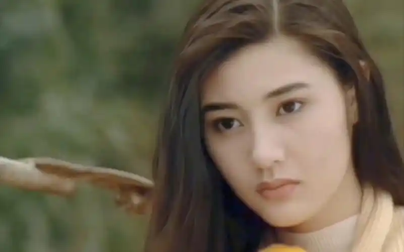 《原振侠》23岁的李嘉欣和22岁的洪欣,你觉得谁美呢?