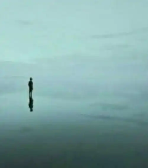 无处安放的灵魂