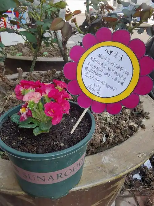 感恩自然绿动春天