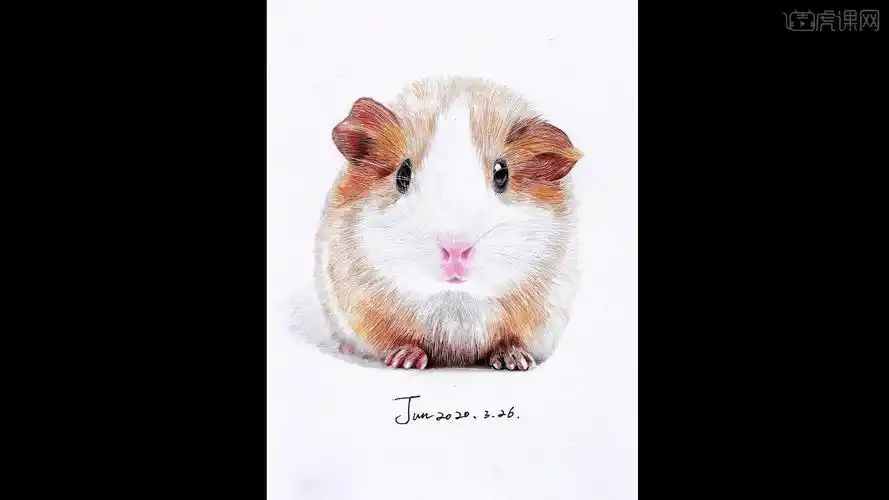 彩铅系列课程基础篇萌宠小仓鼠