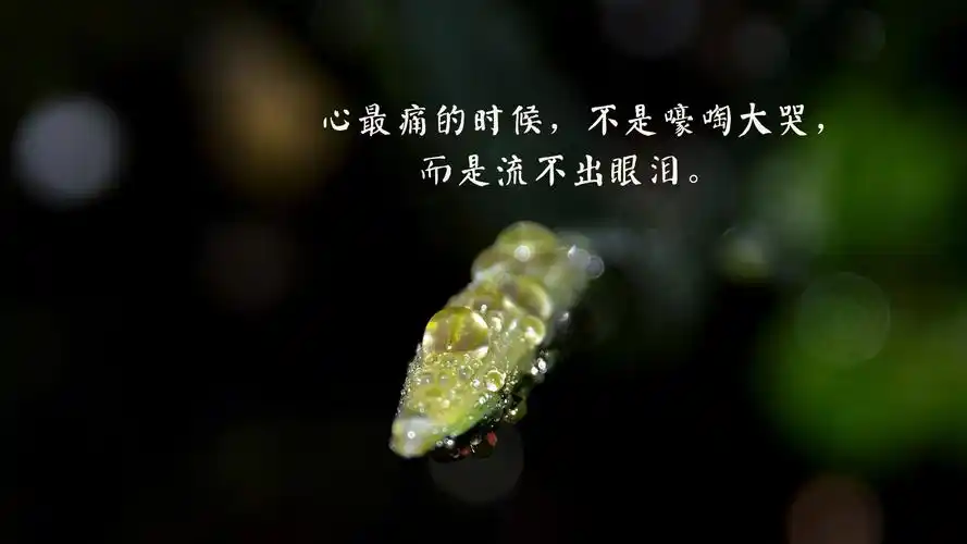 对一个人心凉了的说说图片