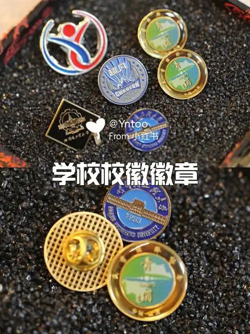 能被学生珍藏的艺术感学校校徽徽章定制