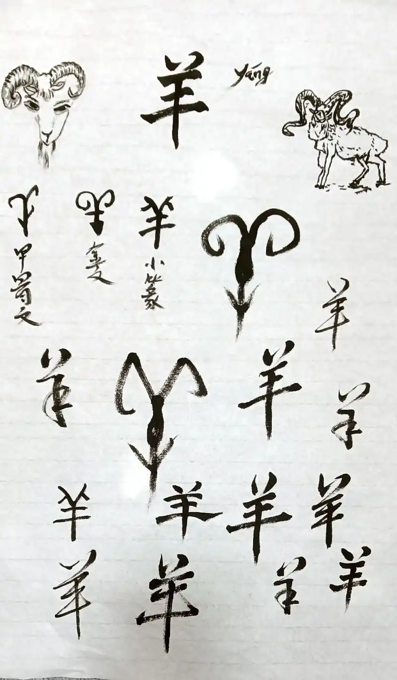羊:"羊"是个象形字,在甲骨文和金文 - 抖音