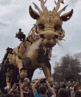 21.神龙惊现人间,赶快膜拜吧!