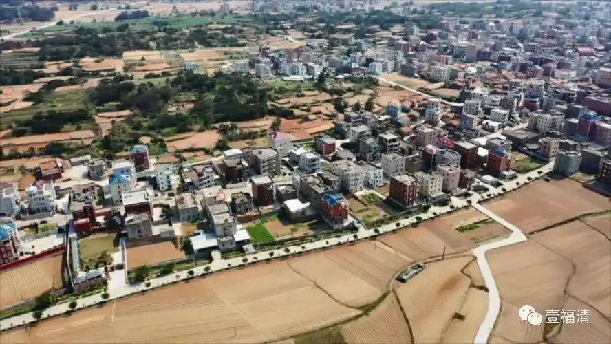 场面震撼福清3000多亩花蛤苗大丰收