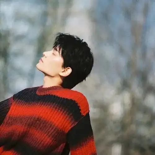 丁禹兮头像|你是我唯一心动的角色