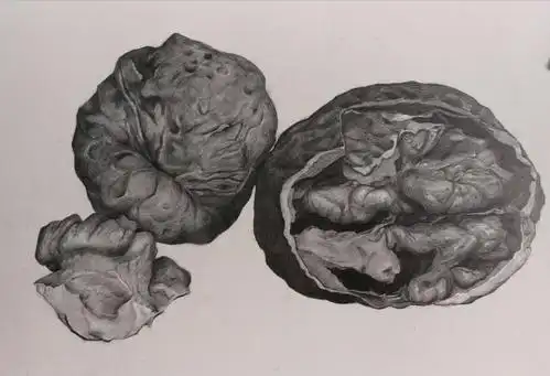 云南艺术学院文华学院美术与设计学院2020级美术学精微素描课程作业