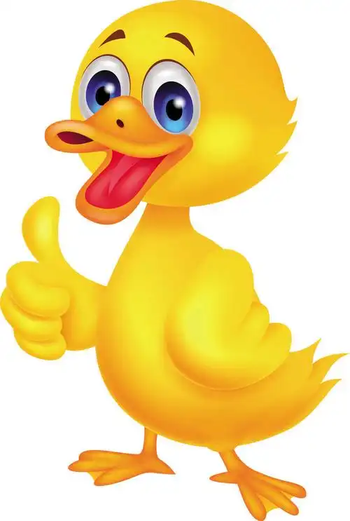矢量卡通品种鸭子