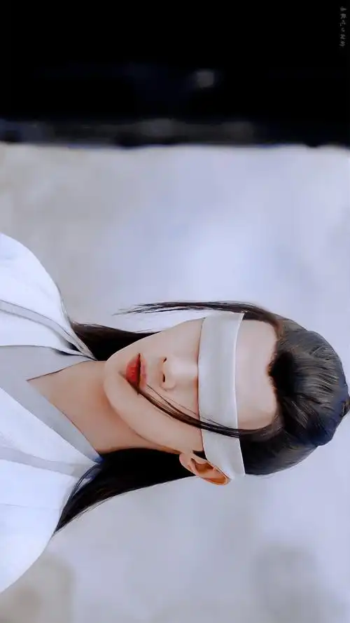 陈情令 晓星尘(宋继扬)