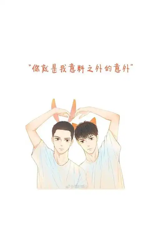 猫丞丞与兔飞飞