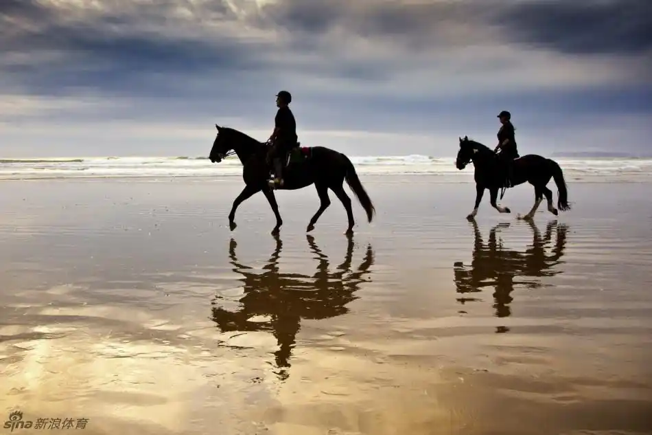 快意潇洒!策马赏景尽享人生_高清图集_新浪网